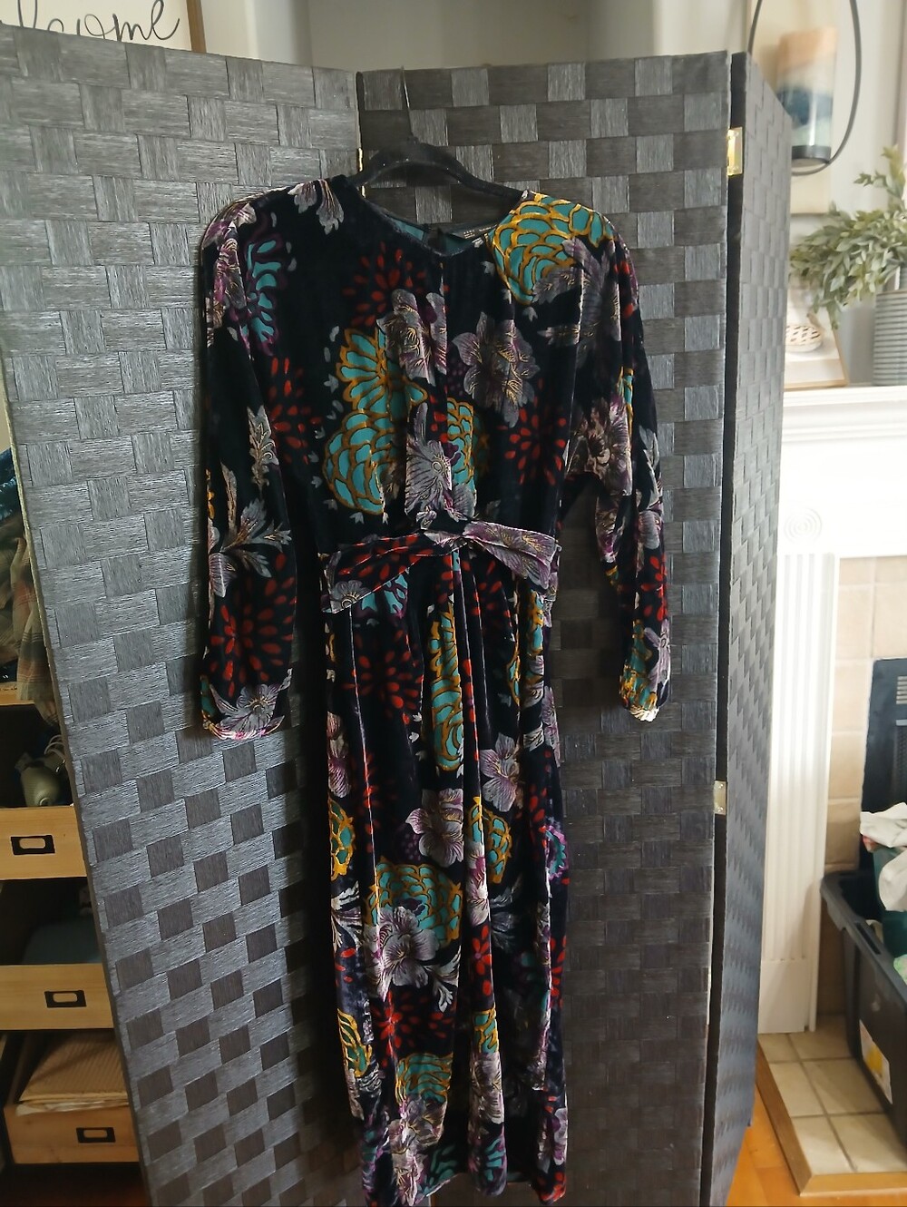 Zara Yrafaluc Black Floral Velvet Long Sleeve Midi Dress Whimsigoth Cottage